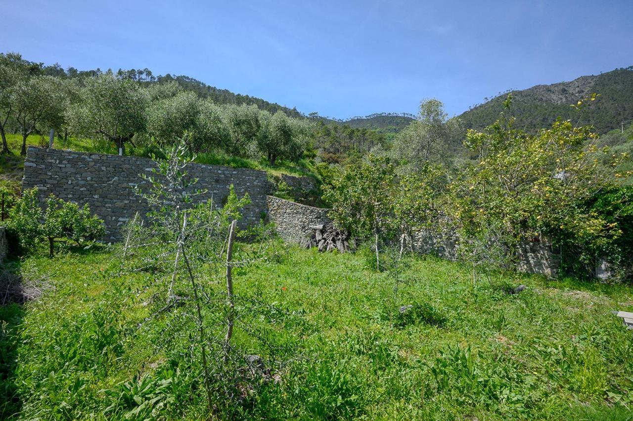 Casa Limoni Βίλα Μοντερόσο αλ Μάρε Εξωτερικό φωτογραφία